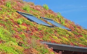 Portland living roof systems