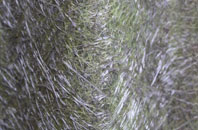 Portland fibreglass roof work